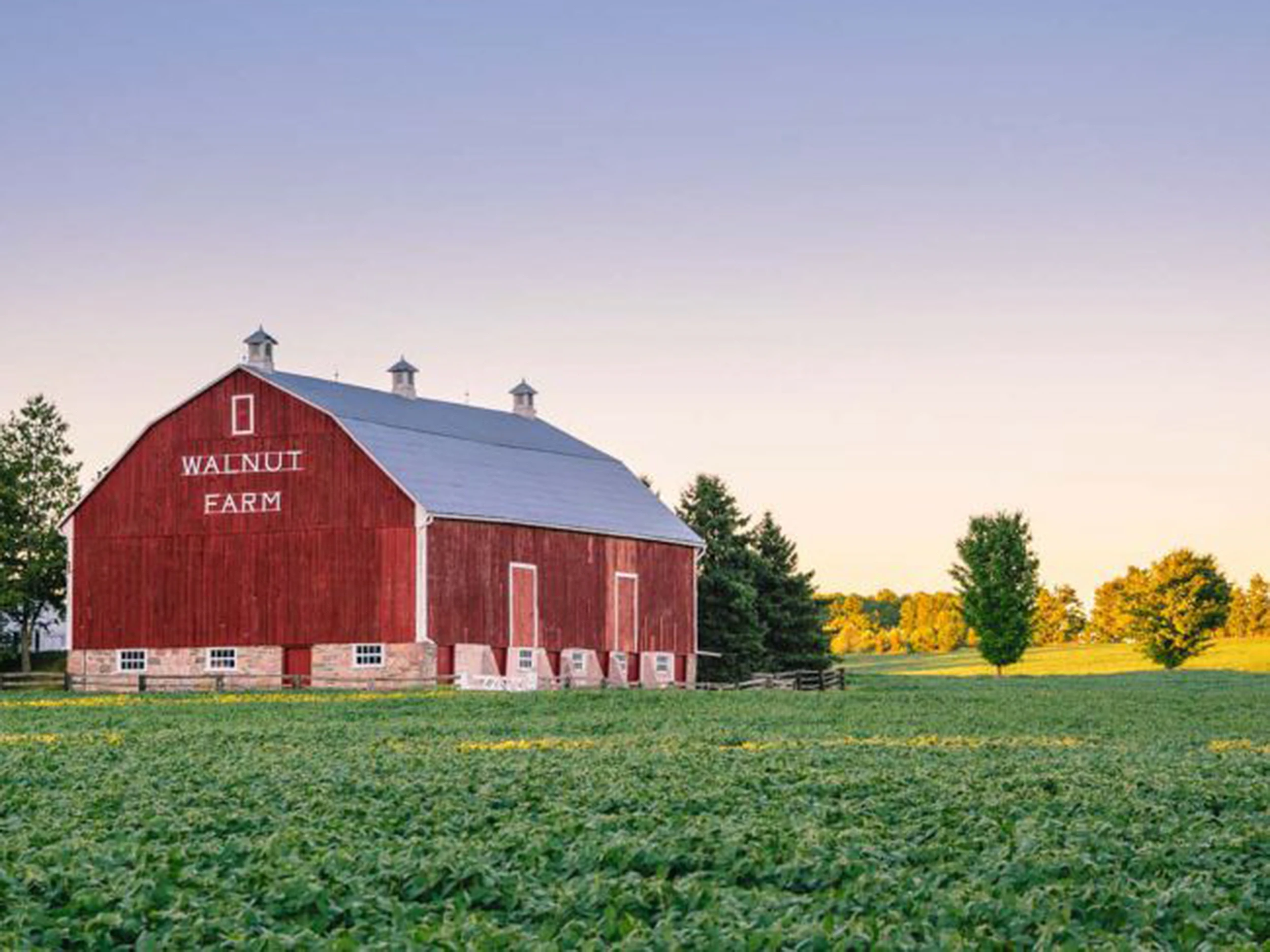 Therm-O-Comfort Cellulose Fibre Insulation