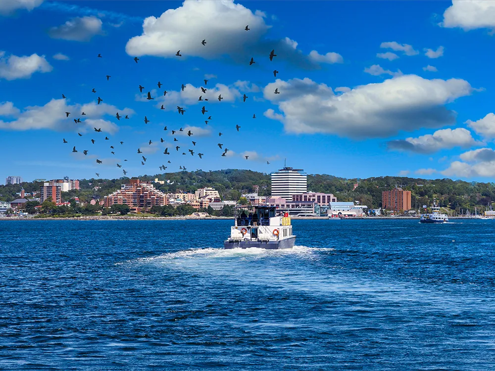 Halifax | Therm-O-Comfort