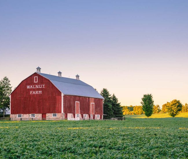 Agricultural pig barn