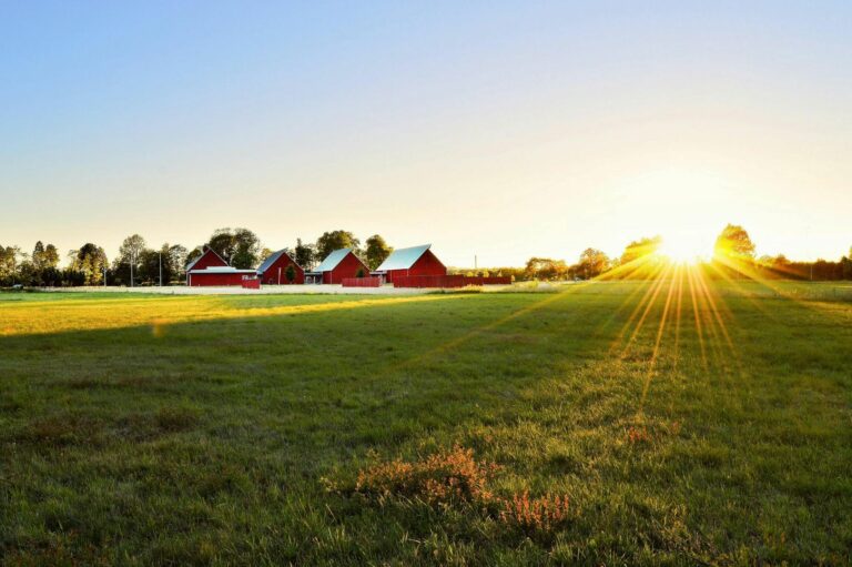 Agricultural landscape with red barns and a sunset in the background.